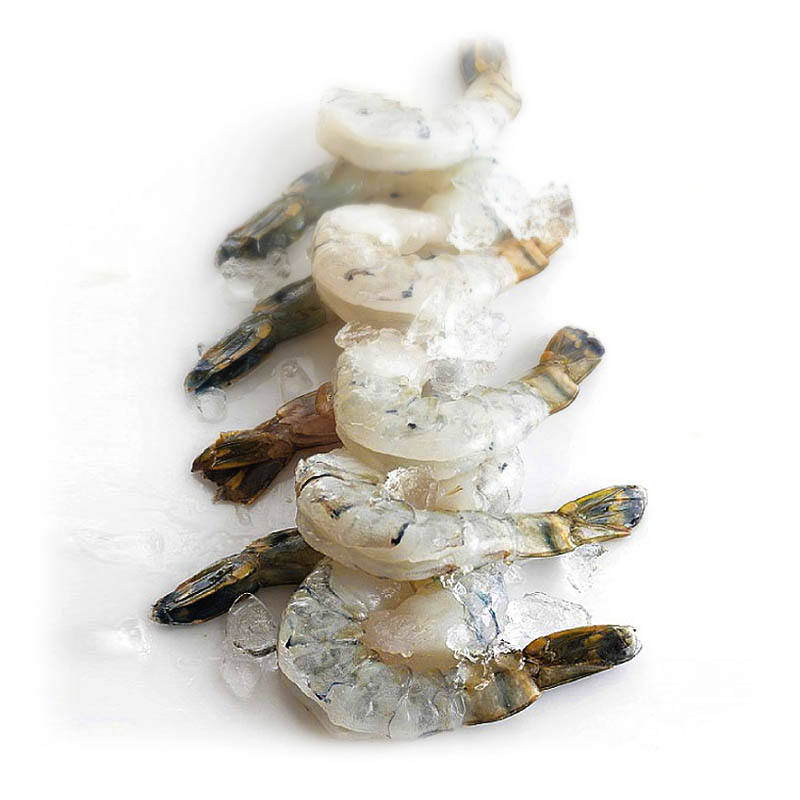 black-tiger-pdto_(a2)