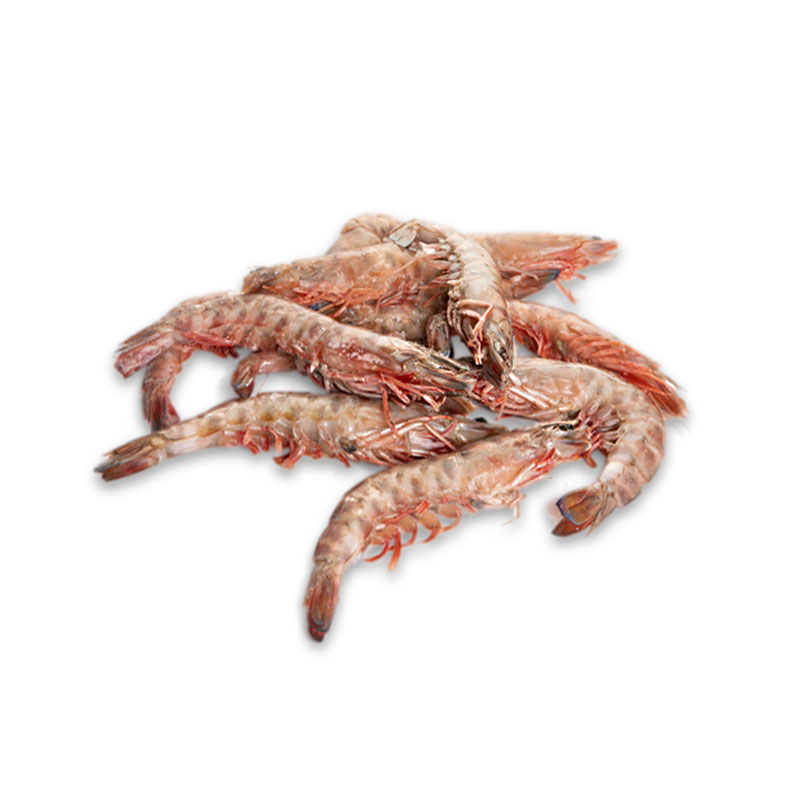 garidaki-symiako_(a2)