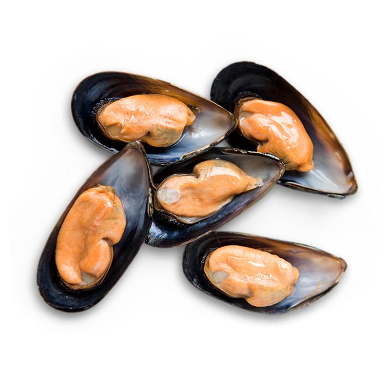 mussels-half-shell_(a2)