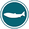 Salmon Icon